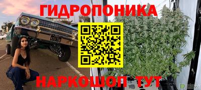 трава Можайск