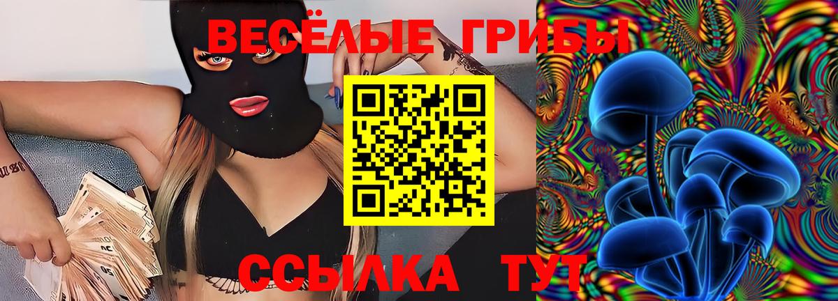 Псилоцибиновые грибы ЛСД  Вход с VPN  Черкесск 