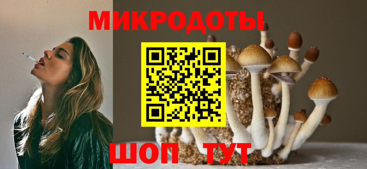 Псилоцибиновые грибы Cubensis Черкесск